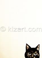 blackcat_peek.jpg