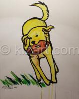 dogcatch.jpg