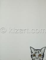 grey_tabby.jpg