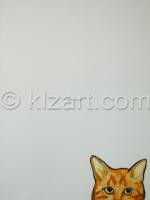 orange_tabby.jpg